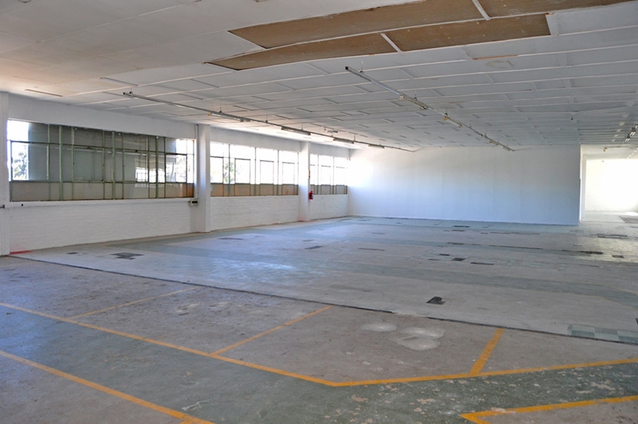 To Let commercial Property for Rent in Maitland Western Cape